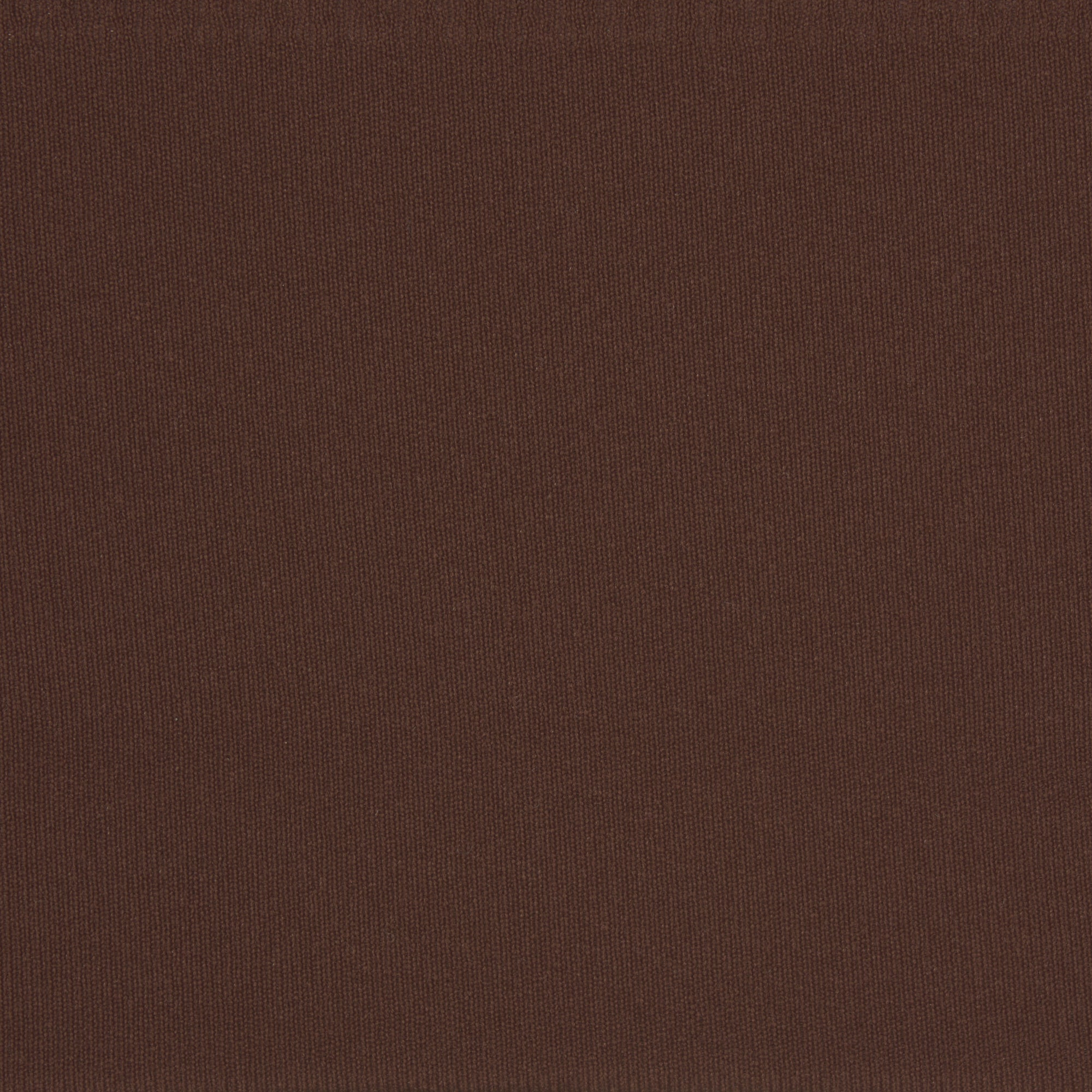 NAKED BIKINI | COCOA